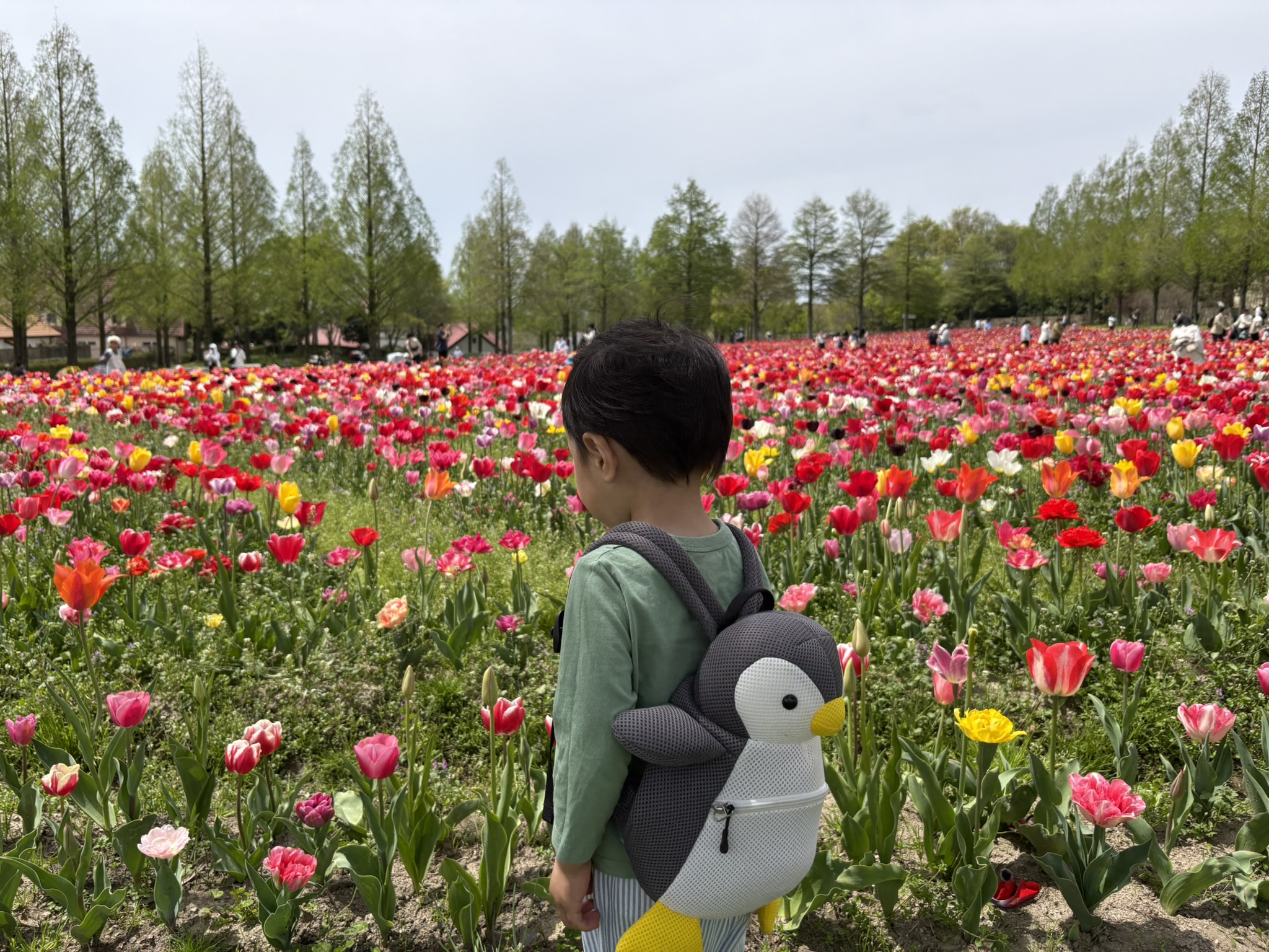 2-year-old-and-tulips-at-Blume-no-Oka.