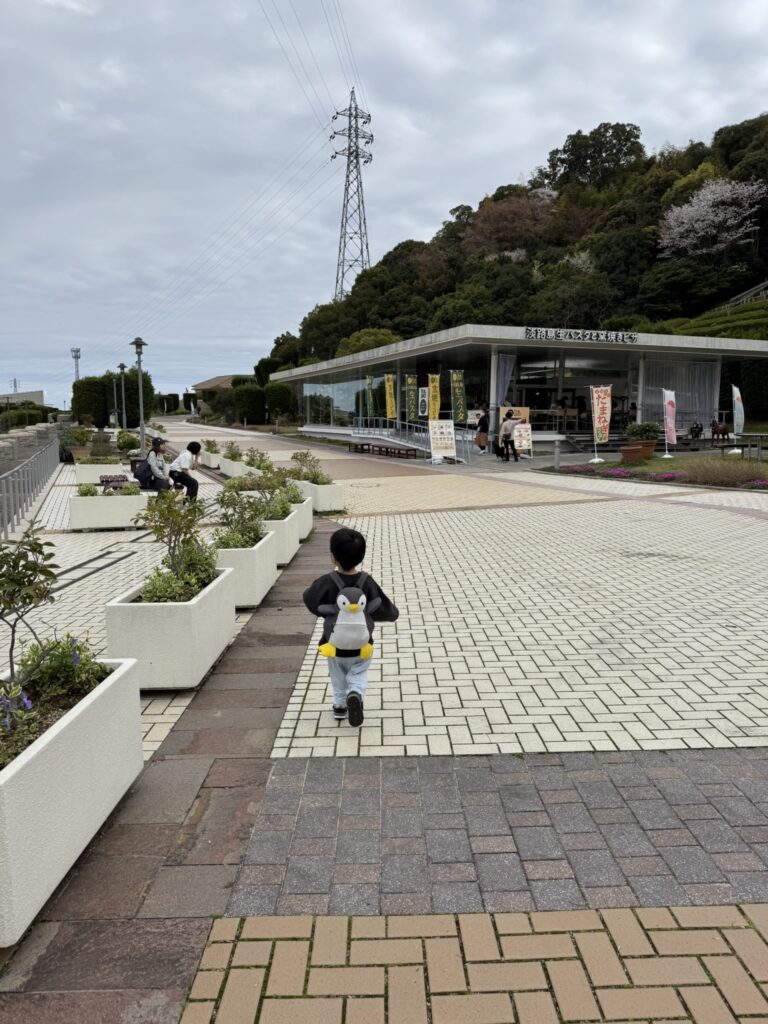 awaji-highway-oasis-walking