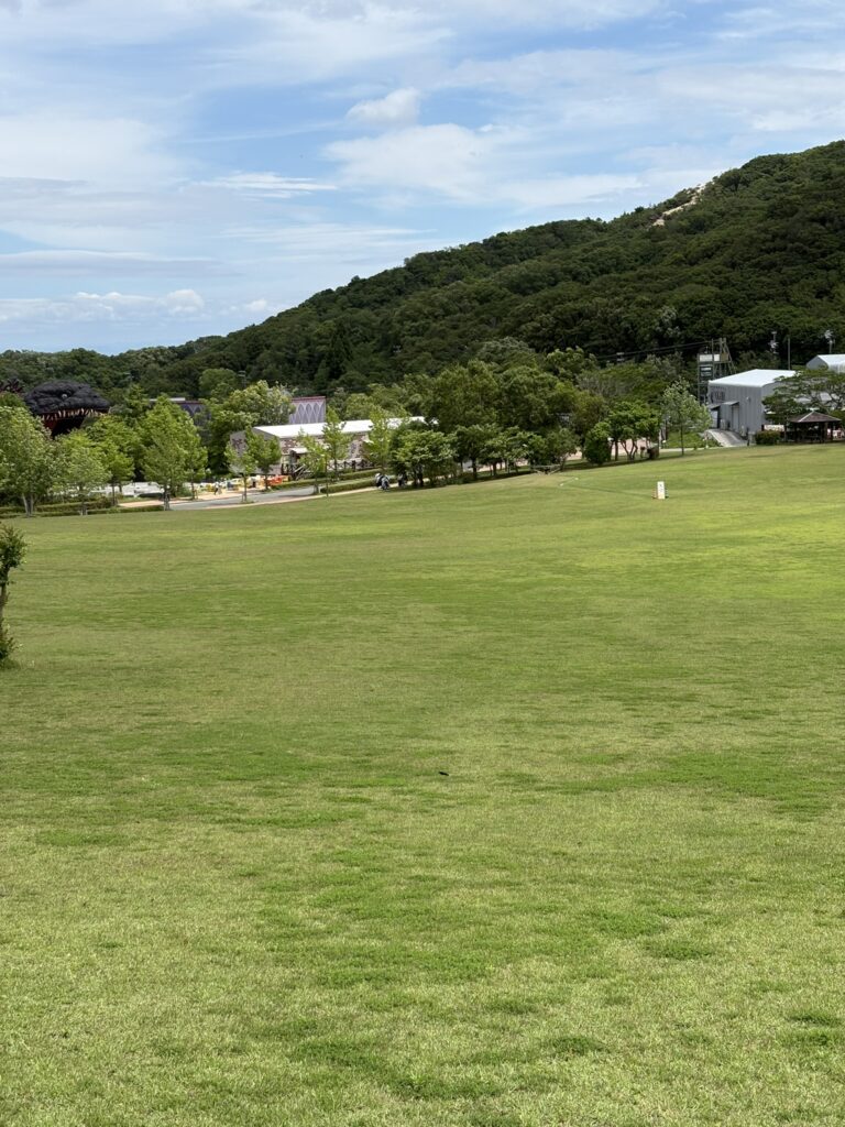 ニジゲンノモリ虫とり