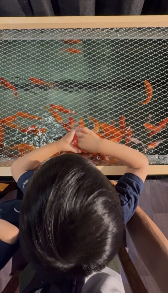 金魚えさやり体験