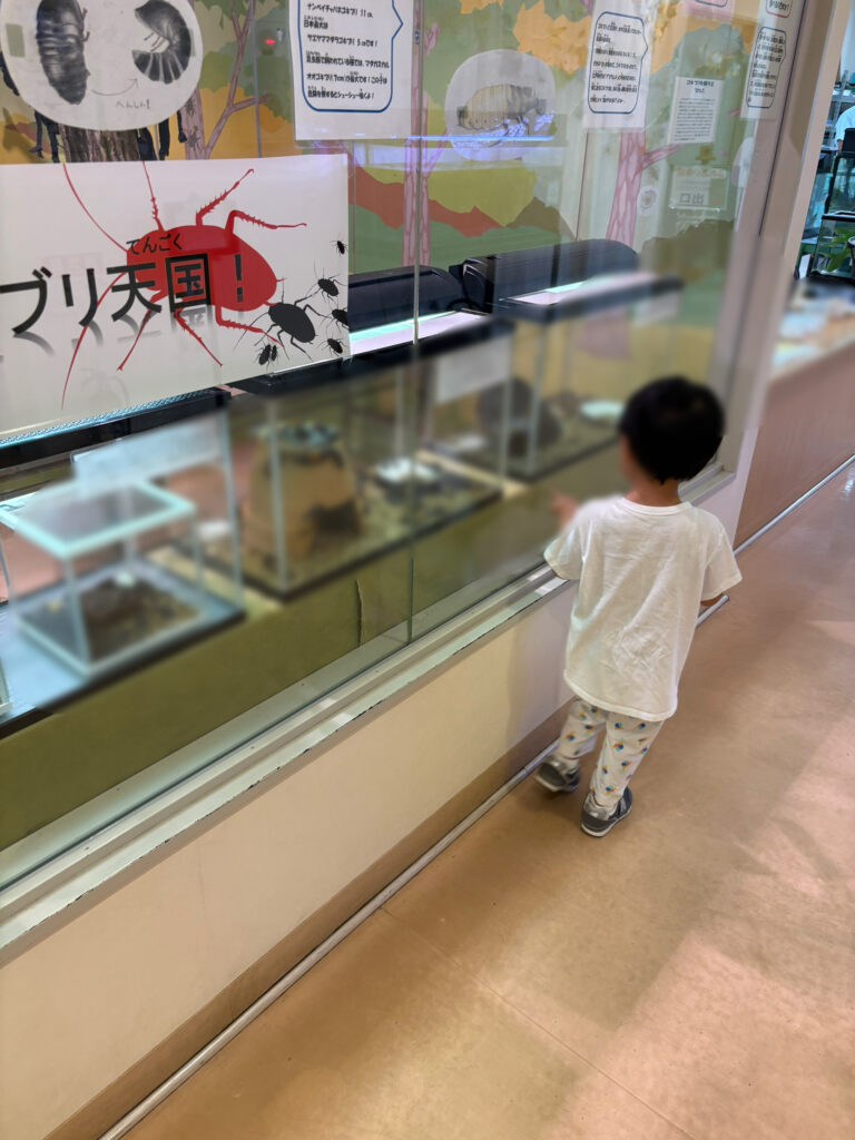 橿原昆虫館ゴキブリ天国